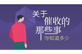 尉氏专业讨债公司有哪些核心服务？